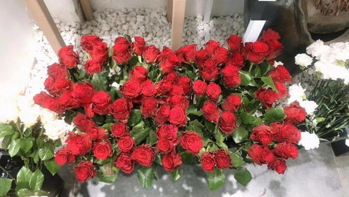 探店日記丨520禮物首選，花所為你精心準備，送給心愛的她