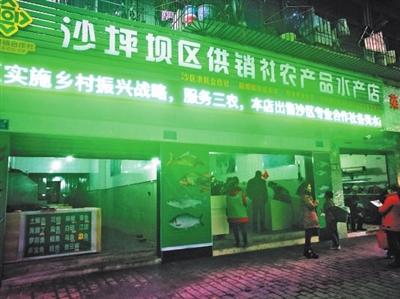 打通農(nóng)產(chǎn)品流通最后一公里——沙區(qū)供銷社農(nóng)產(chǎn)品水產(chǎn)、花卉店正式開業(yè)