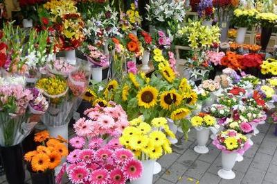 2018-2019年適合創(chuàng)業(yè)的20個好項目推薦 禮品花卉銷售引領(lǐng)潮流，年青人抓住機(jī)遇！