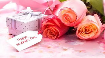 從情人節(jié)花卉消費(fèi)看禮品花卉市場的現(xiàn)狀與趨勢(shì)