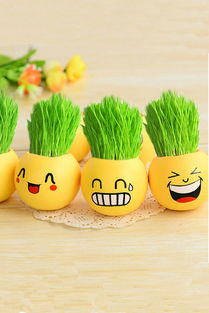 綠意與溫馨交織 打造您的幸福之家